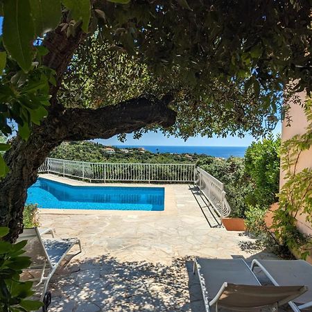 Villa Les Trois Chenes, Piscine Privee & Vue Mer Sur Golfe De Saint Tropez 레지상브르 외부 사진
